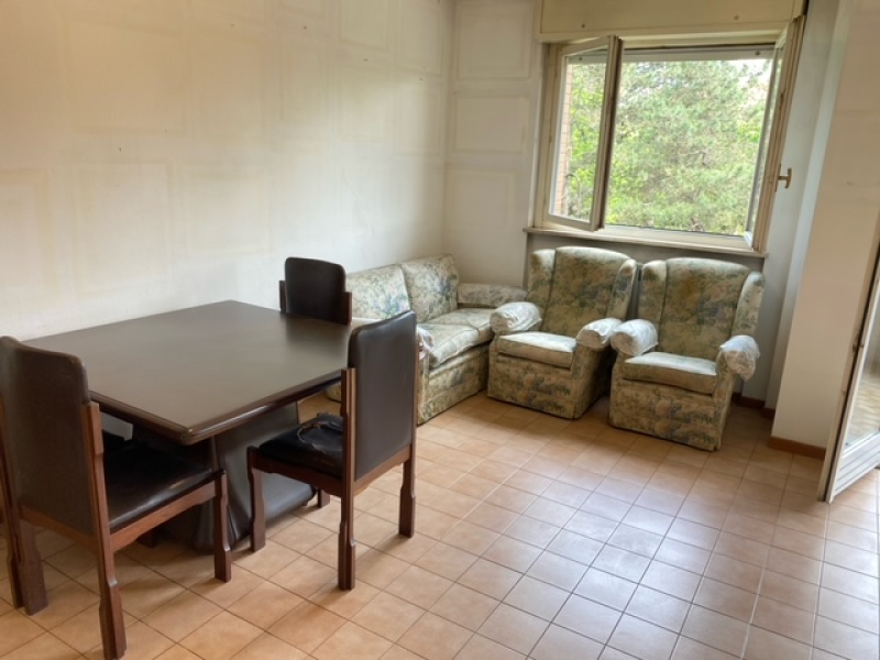 image3 (3).jpeg